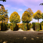 Park, Scloss Schönbrunn, Wien