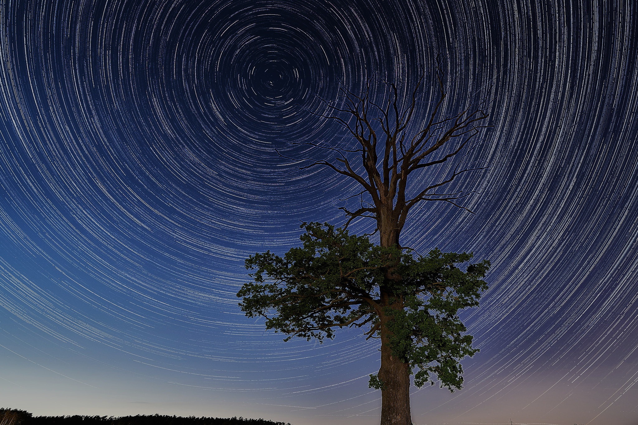 Startrail