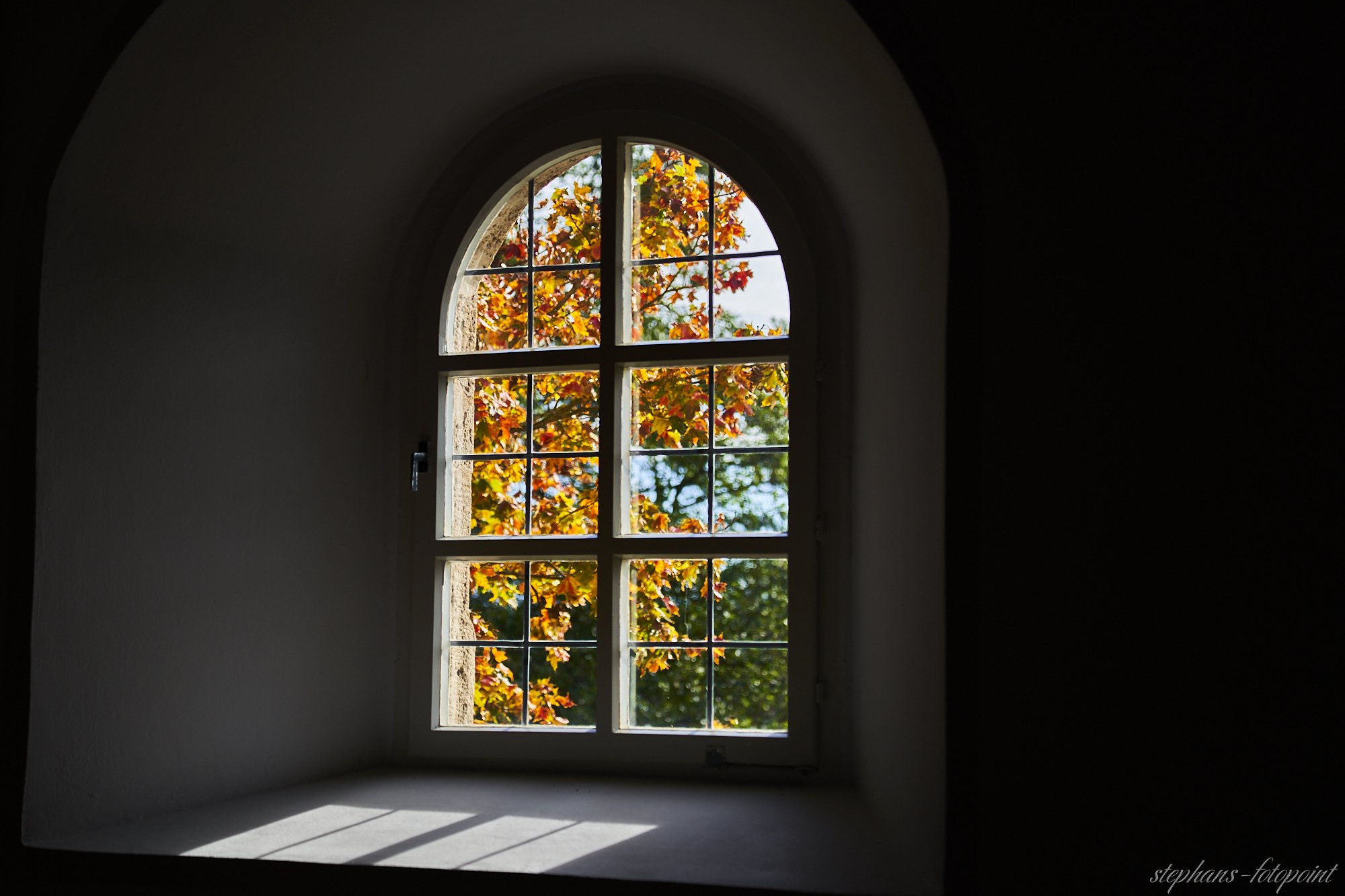 Goldenes Fenster